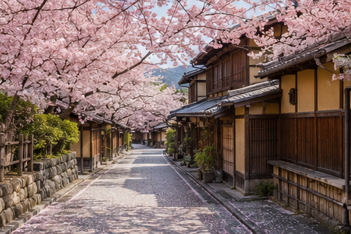 Japan: The Petal Path